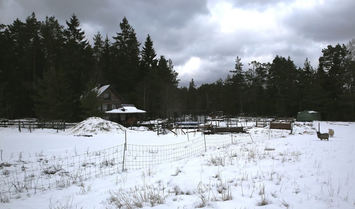 Livonsaaren yhteisökylä, harmaa talo ja piha
