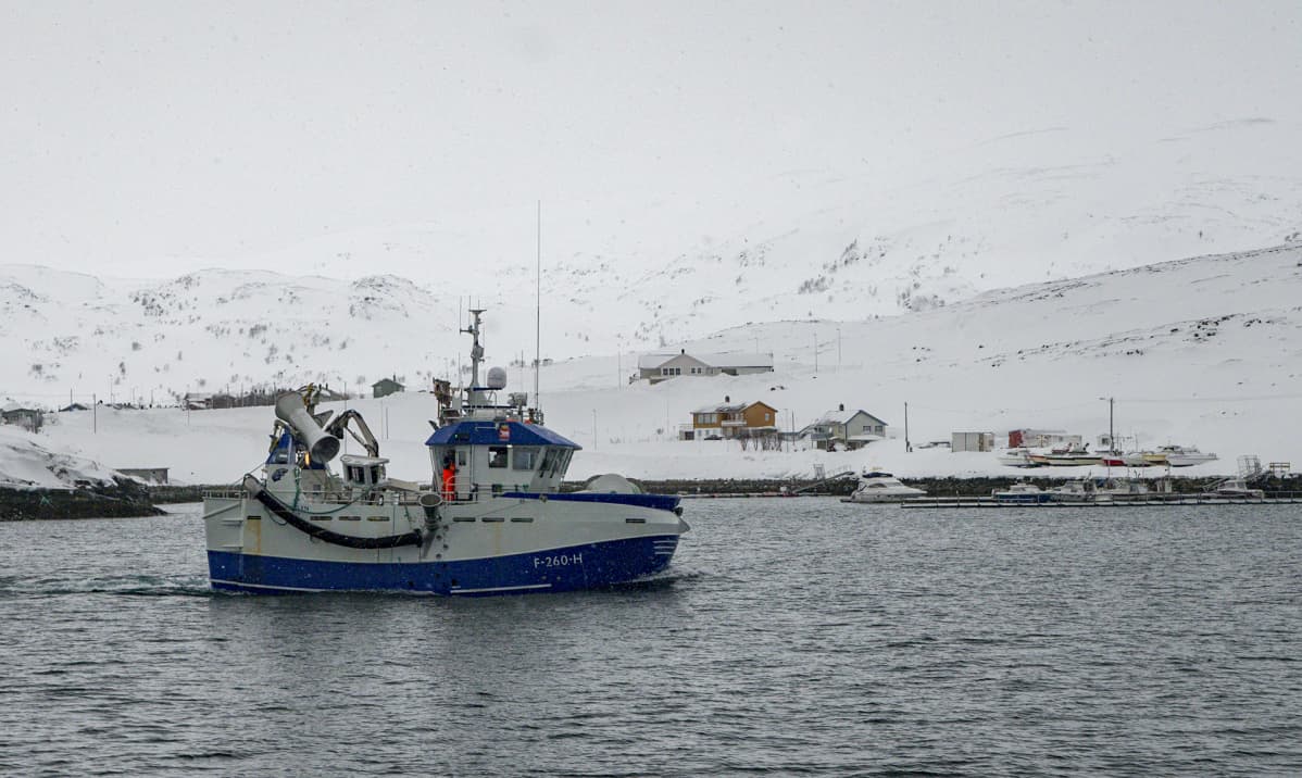 Polarsterna saapuu satamaan myrskyisen yön jälkeen.