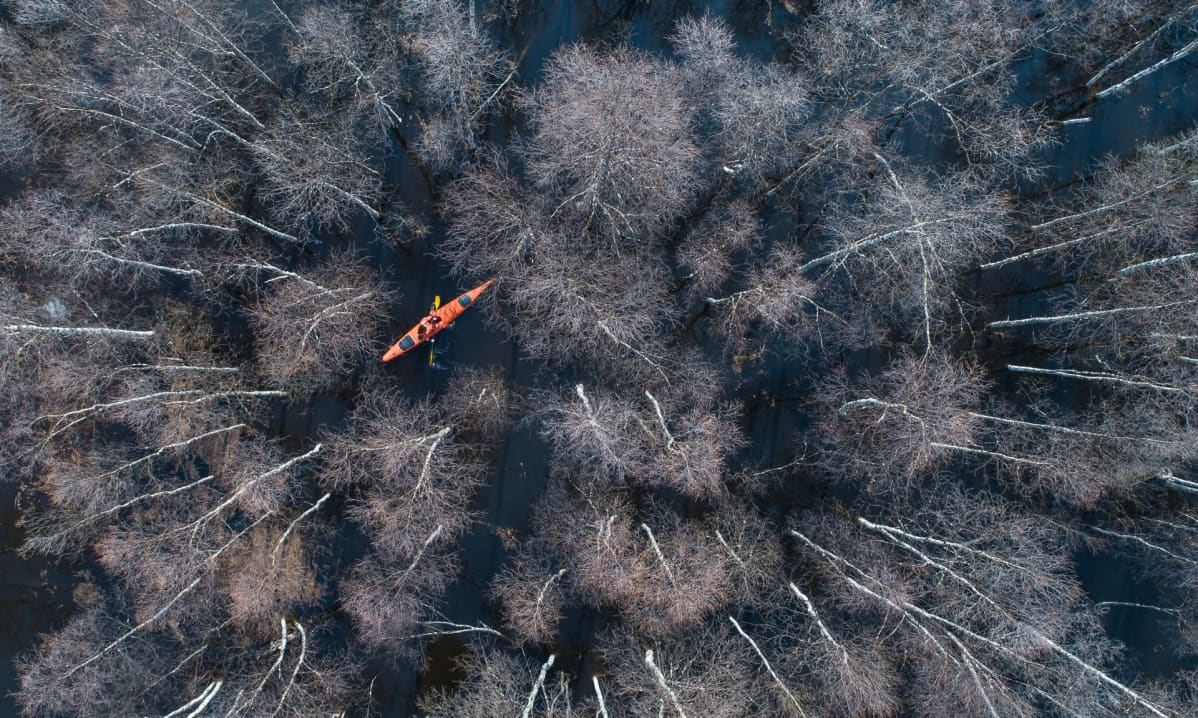 Vuoden luontokuva 2019 -kisan Luonto ja ihminen -sarjan voittaja, Juha Kauppisen otos "Melonta"