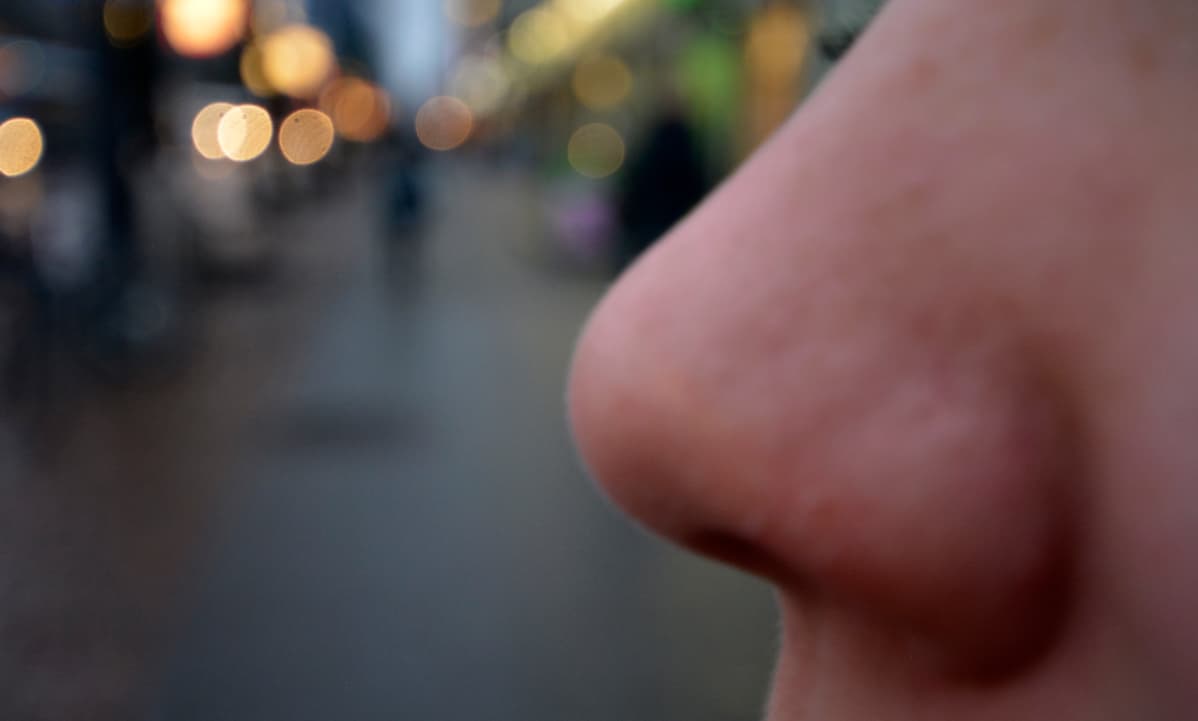 nenä