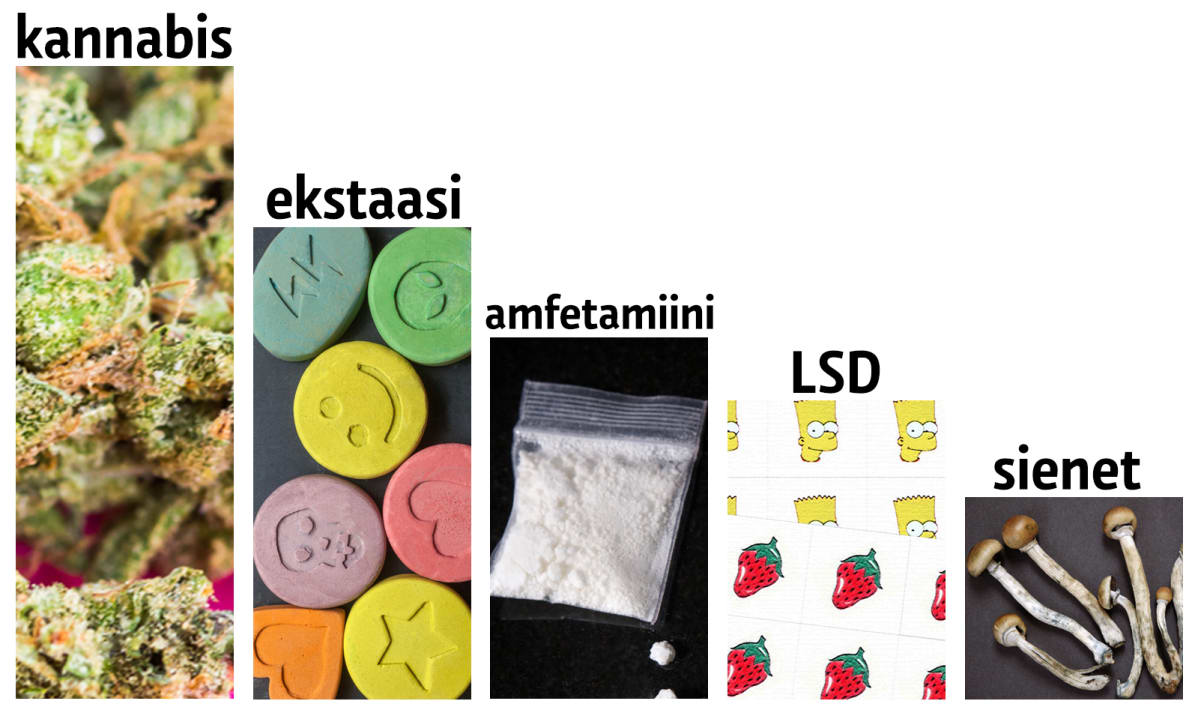Eri huumausaineiden osuudet