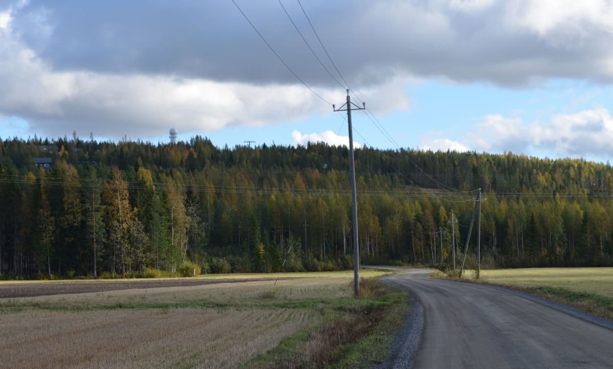 Ilmatieteen laitoksen säätutka Vimpelissä on suojattu valkoisella pallon muotoisella kuorella.