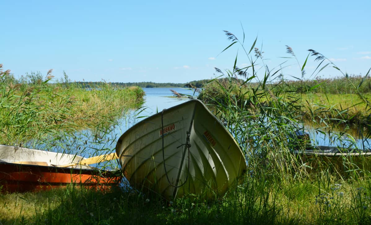 Hinjärven rannassa olevia veneitä