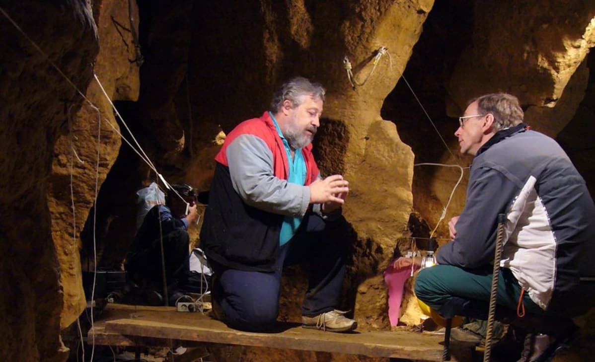 El Sidron luola, neandertalilaisten tutkimusta