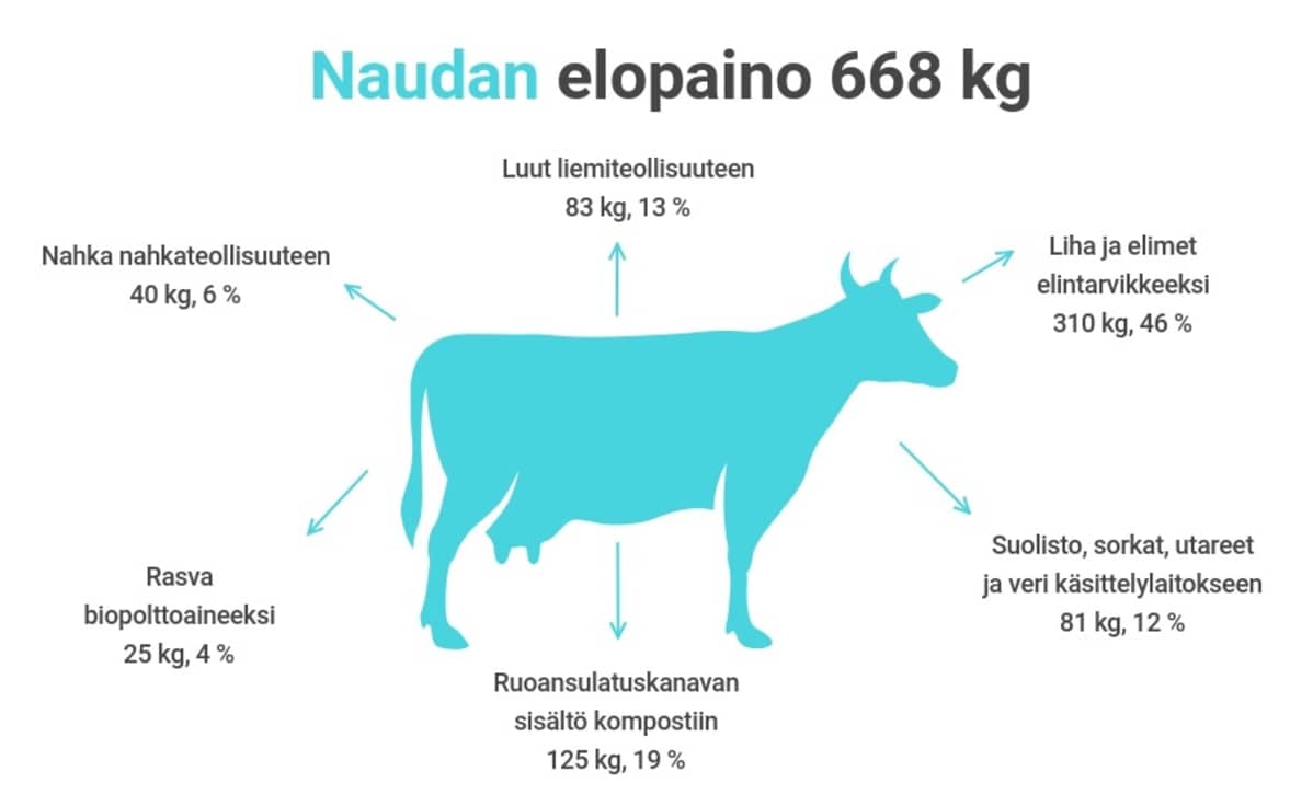 Naudan sivutuotteita.