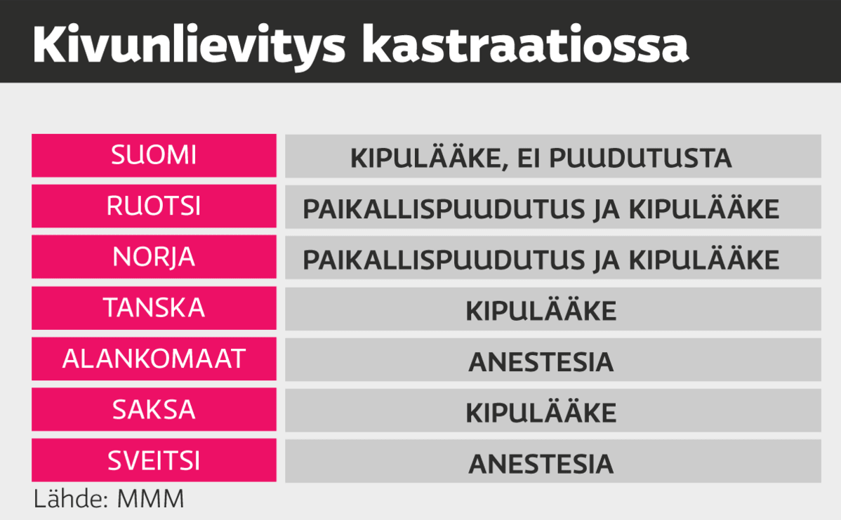 Kivunlievitys kastraatiossa grafiikka