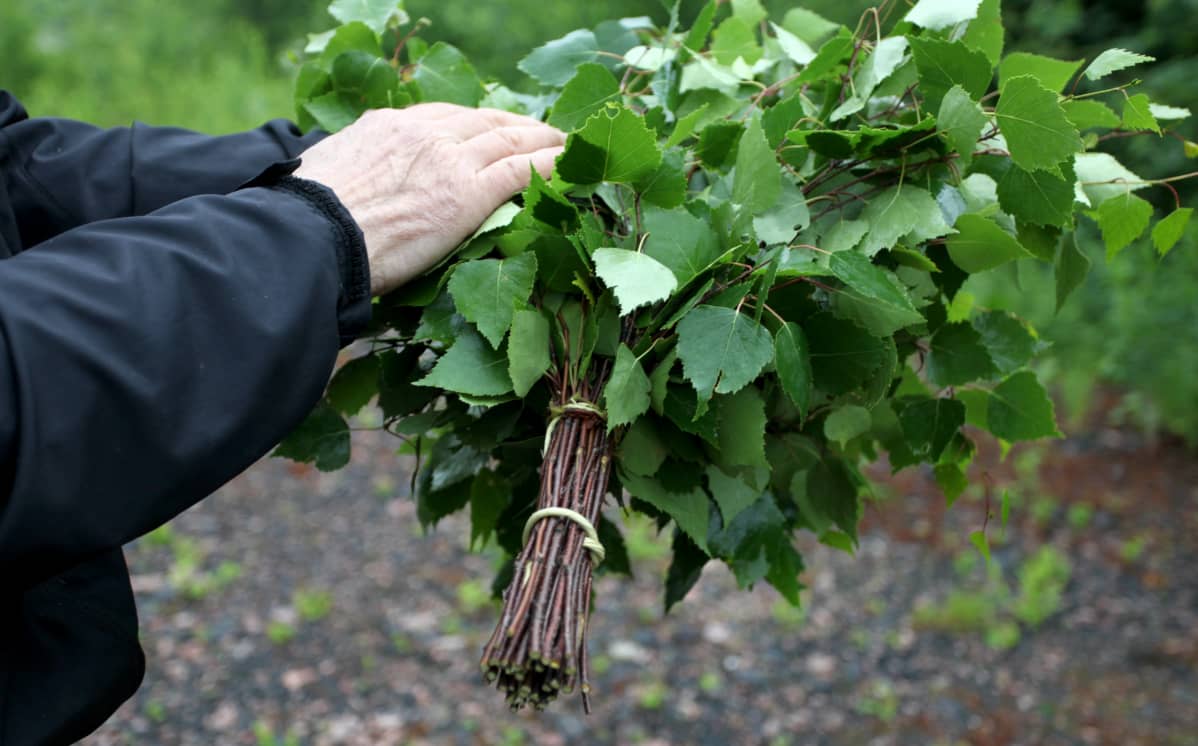 Valmis vihta.