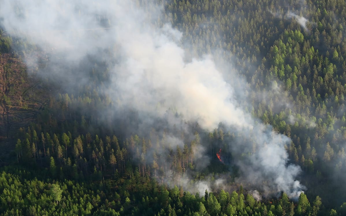 metsä palaa ilmakuva