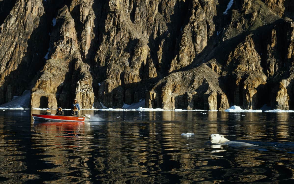 Inuitit katsoivat jääkarhun uintia Baffinin saarella vuonna 2012.