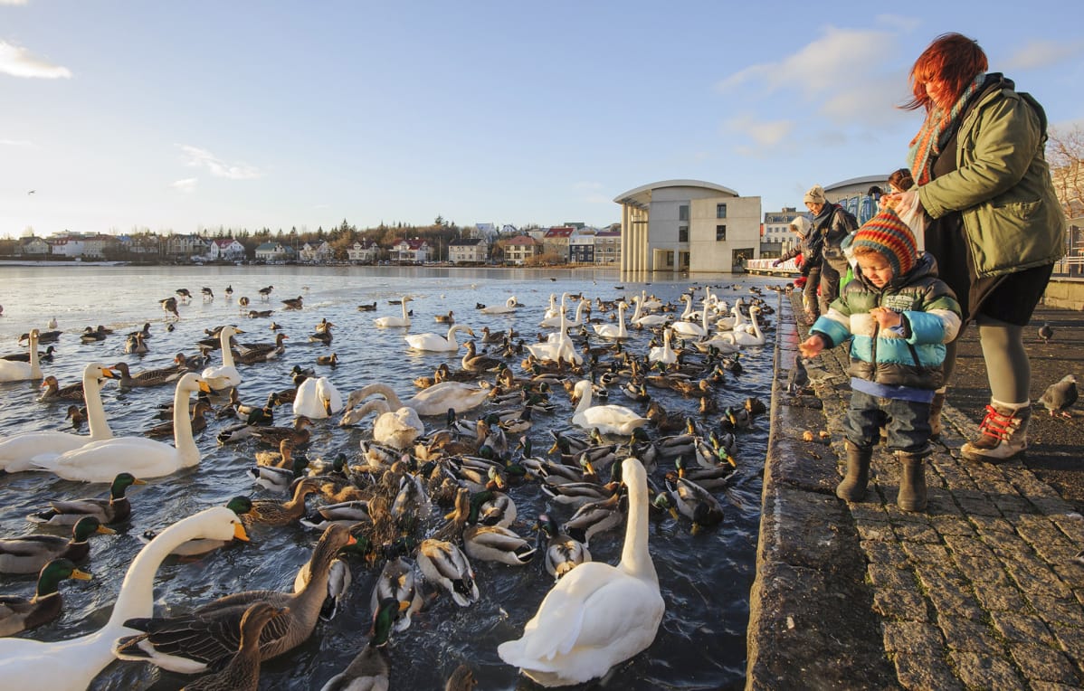 Islanti Reykjavik