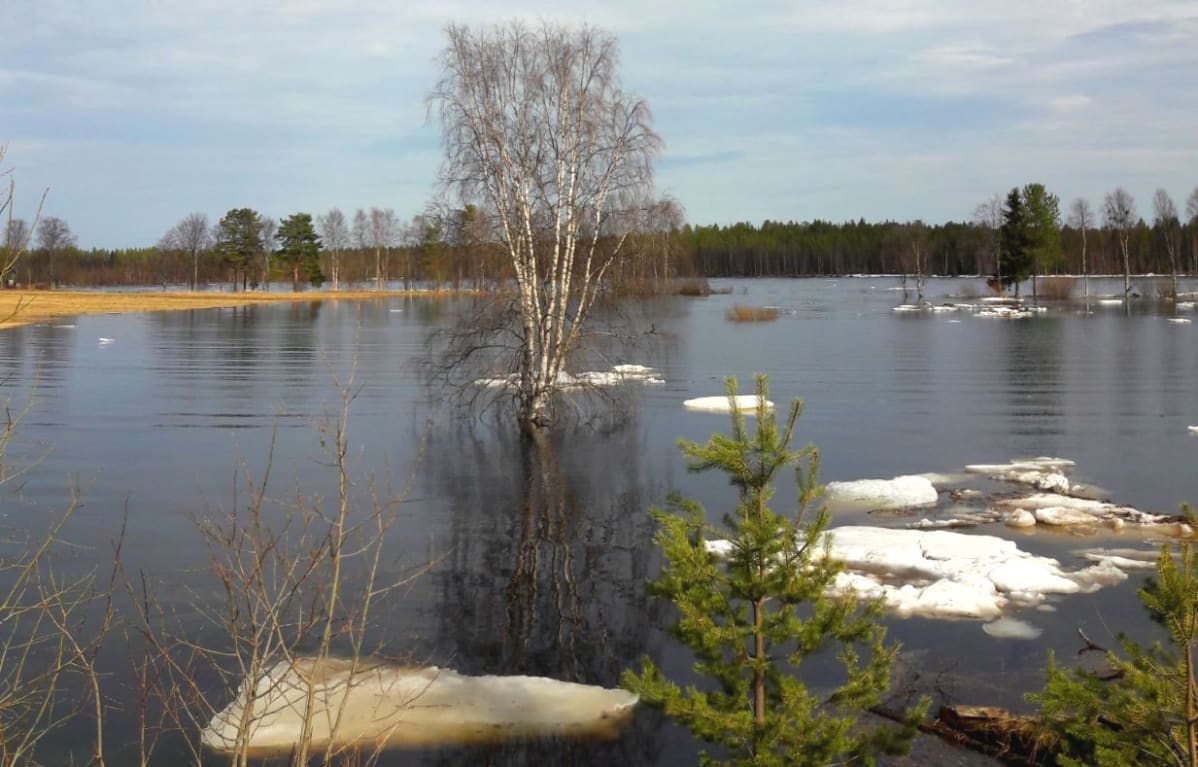 Kevättulva Könkäällä