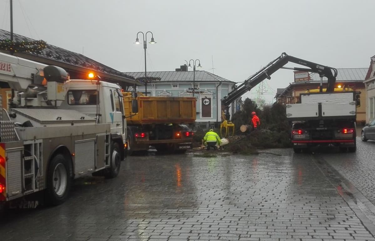 Kaatunutta kuusta pätkitään Raumalla