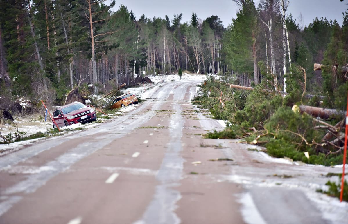 Kaatuneita puita ja autoja ojassa Aapeli-myrskyn jäljiltä Södersundassa, Jomalan kunnassa Ahvenanmaalla 2. tammikuuta 2019.