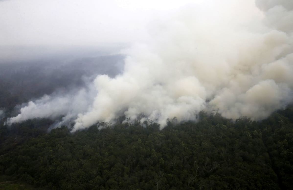 Indonesian kasvihuonepäästöistä suuri osa on peräisin maastopaloista tavallisinakin vuosina. Metsä paloi Sumatran eteläosissa syyskuun puolivälissä.
