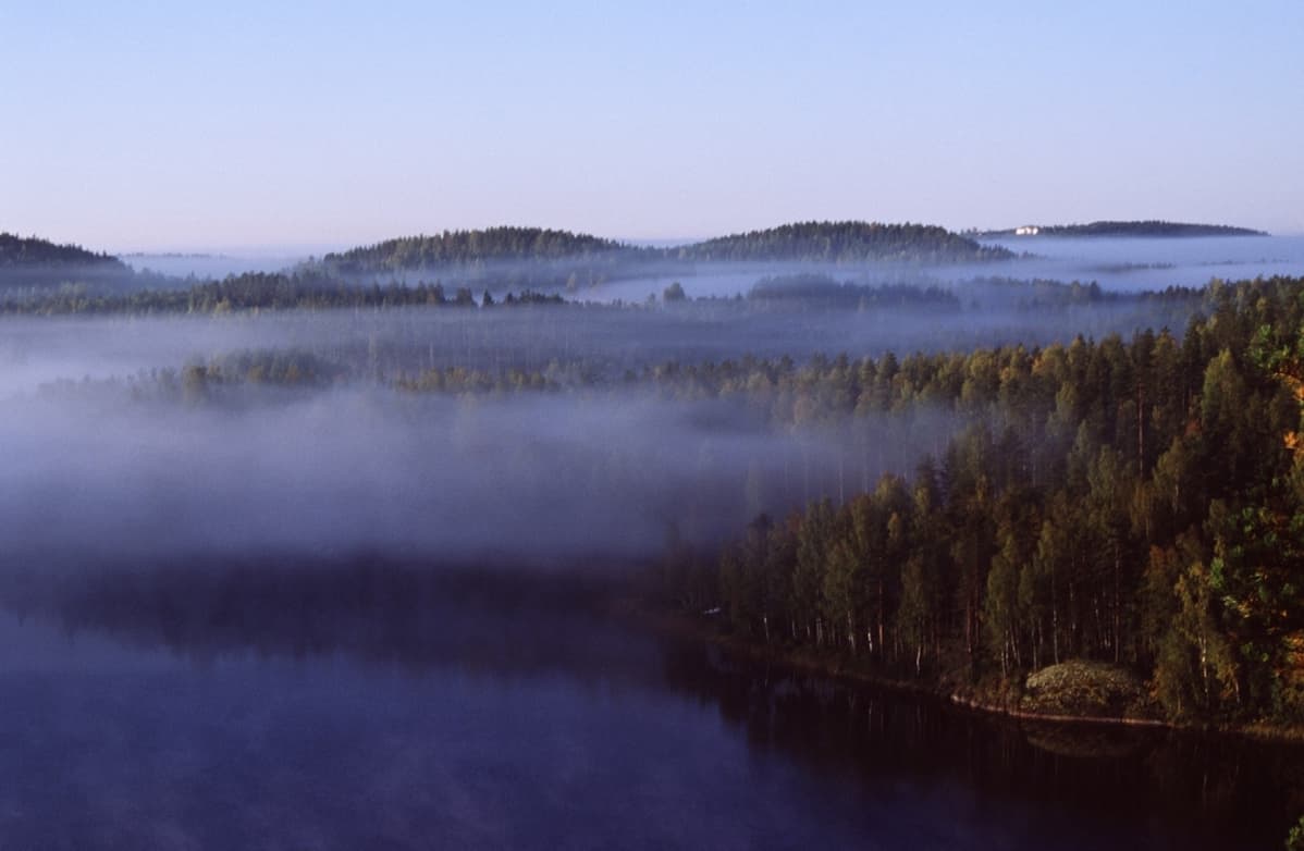 Ett åslandskap i Puumala med skog, sjö och dimma som hänger över trädtopparna.