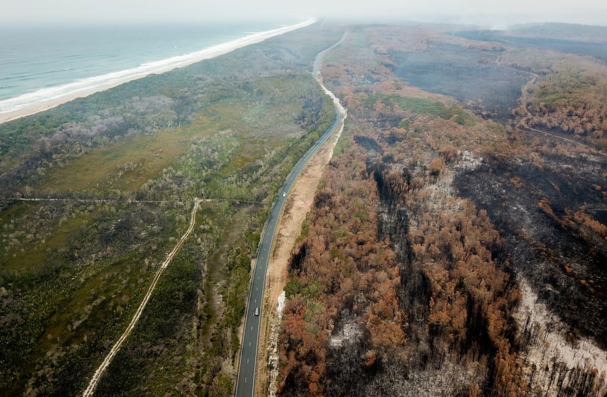 Burnt bushes near Port Macquarie, New South Wales, Australia. A devastating start to the Australian bushfire season has prompted a state of emergency in the eastern state of New South Wales (NSW), with the country's largest city, Sydney bracing for catastrophic fire danger. On Monday, a state of emergency was declared for NSW, with exceptionally hot and windy conditions predicted for Tuesday, threatening to create an even bigger fire disaster than that which left three people dead last week.