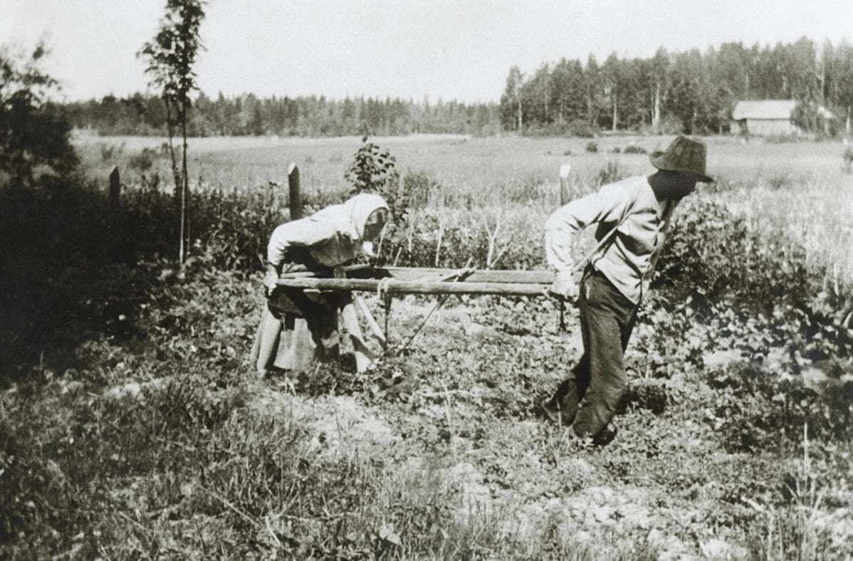 Nainen kyntää peltoa miehen vetämällä auralla.