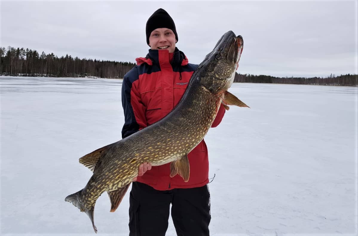 Saku Nieminen ja 14-kiloinen suurhauki