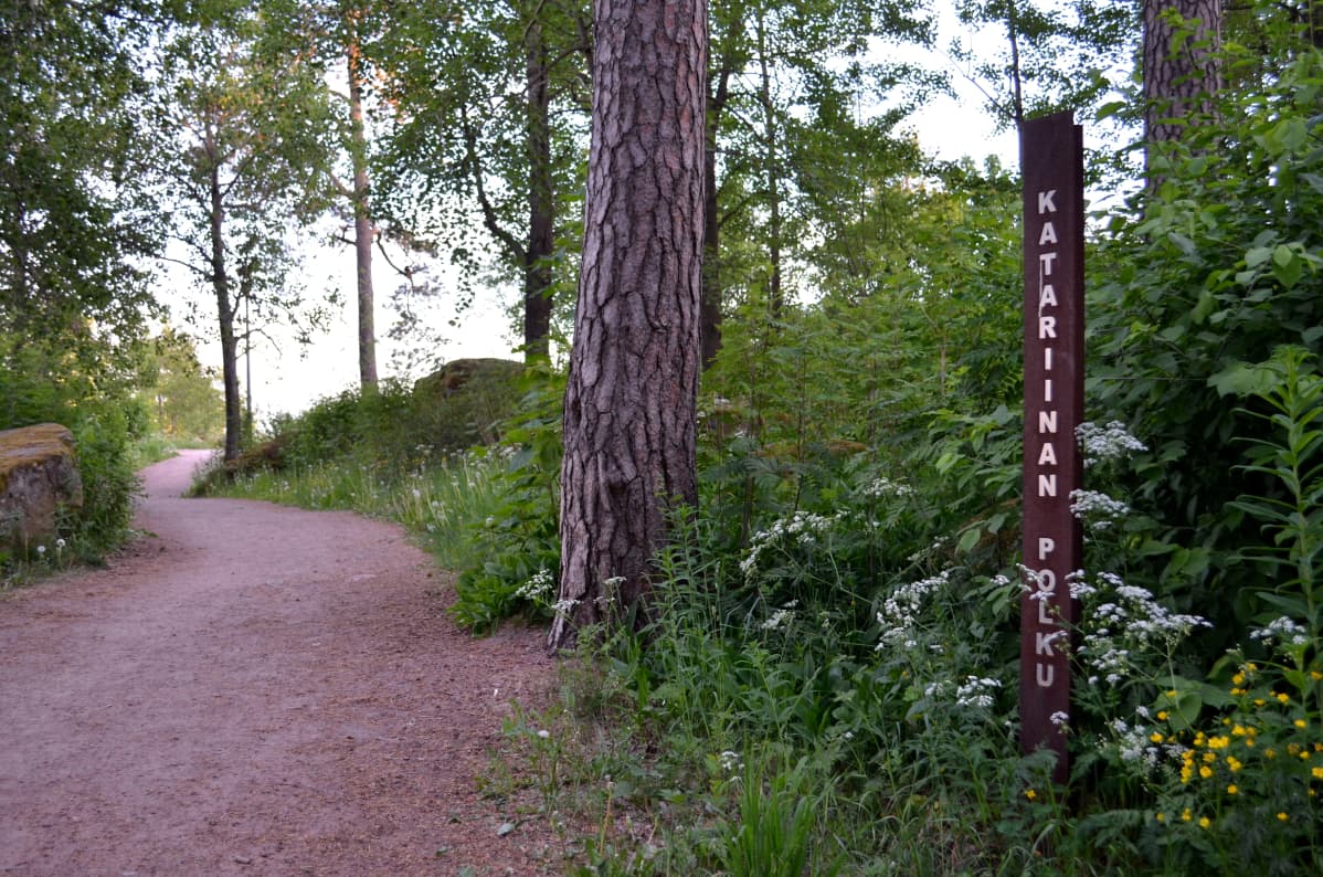 Hiekkainen kävelypolku metsässä, tien vieressä iso mänty ja sen oikealla puolella Katariinan polku -kyltti.
