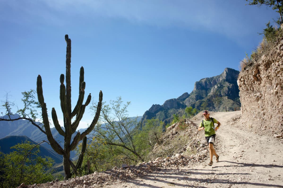 Kaktus ja juoksija Copper Canyon Ultramaratonilla