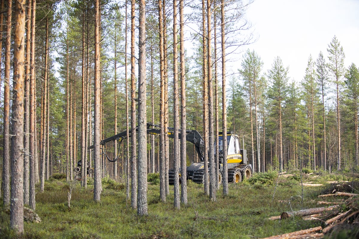 Monitoimikone työssä