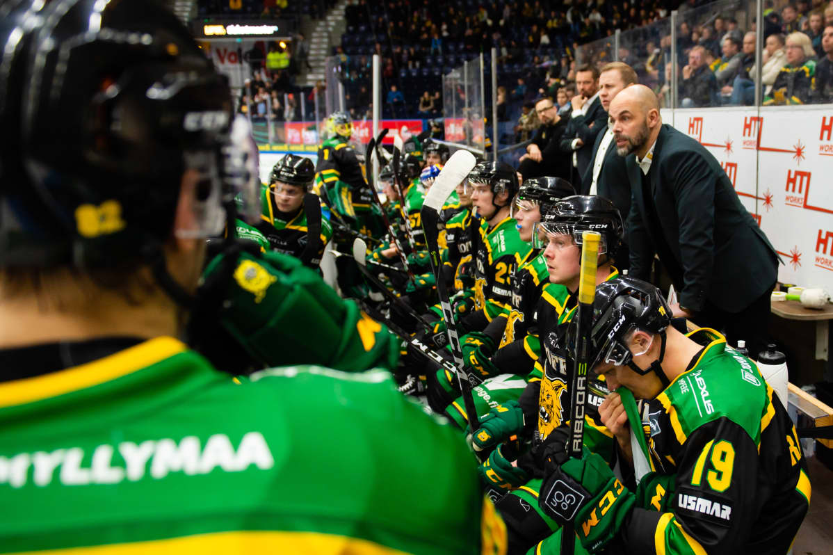 Ilves