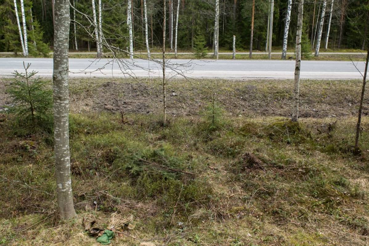 Tesoman murha, murhapaikka