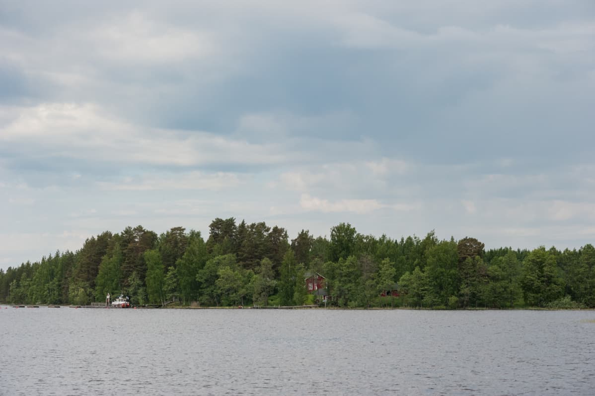 Iivarinsalon saari Kallavedessä.