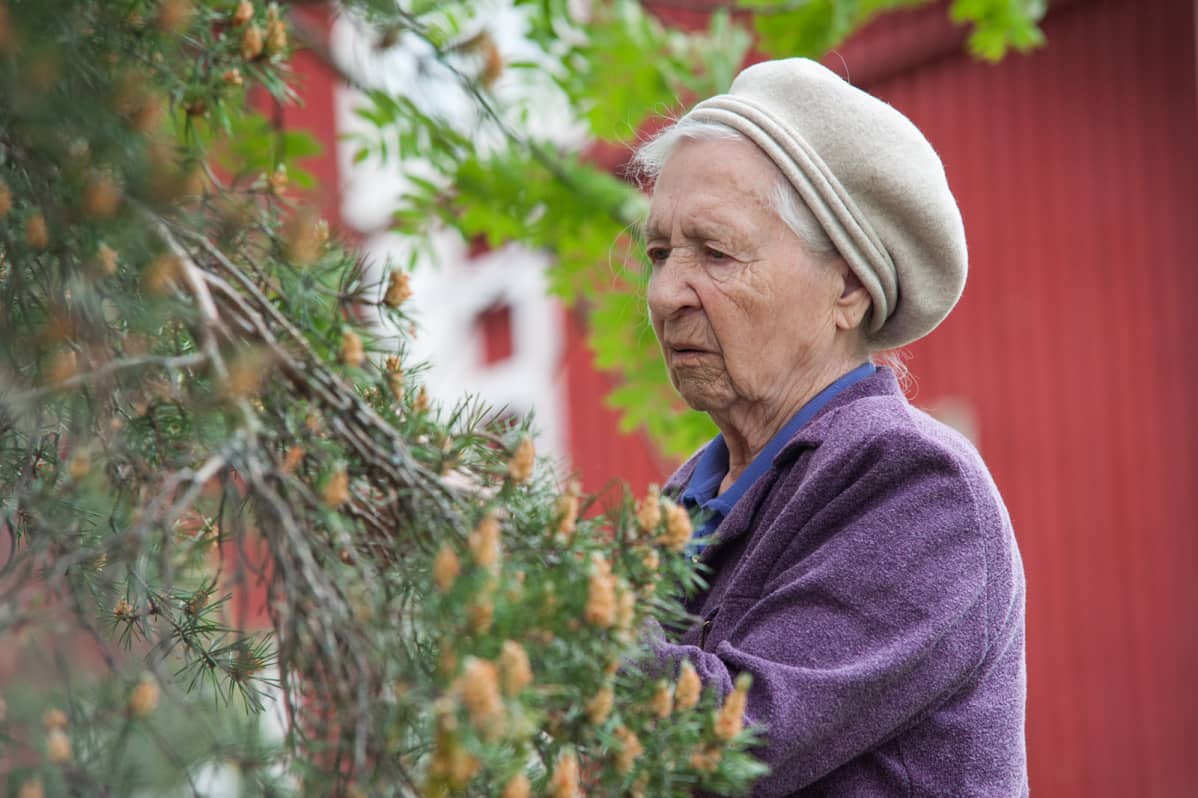 Irja Boikova.