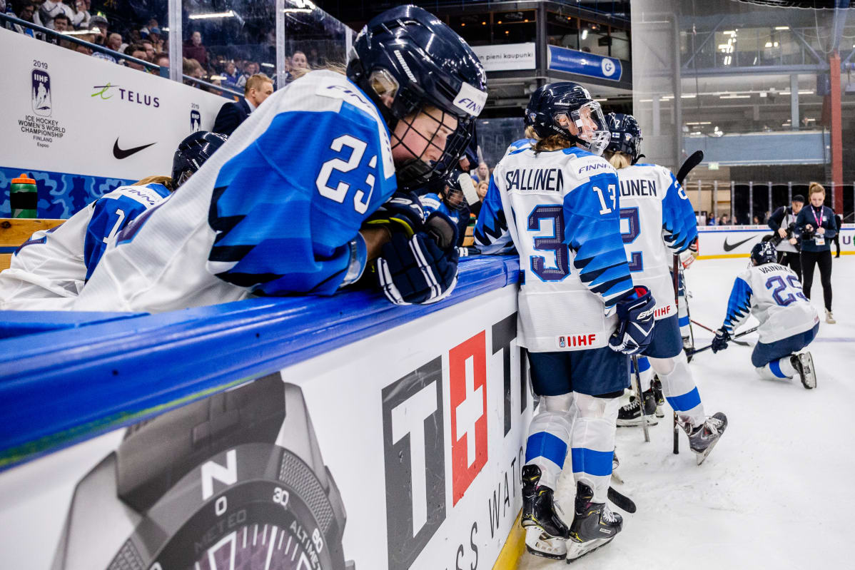Pettyneet Leijonat
