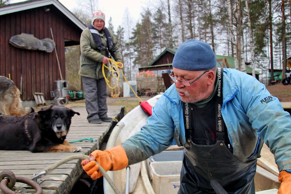 Kalastaja Pauli Koski lähtee verkkoja kokemaan