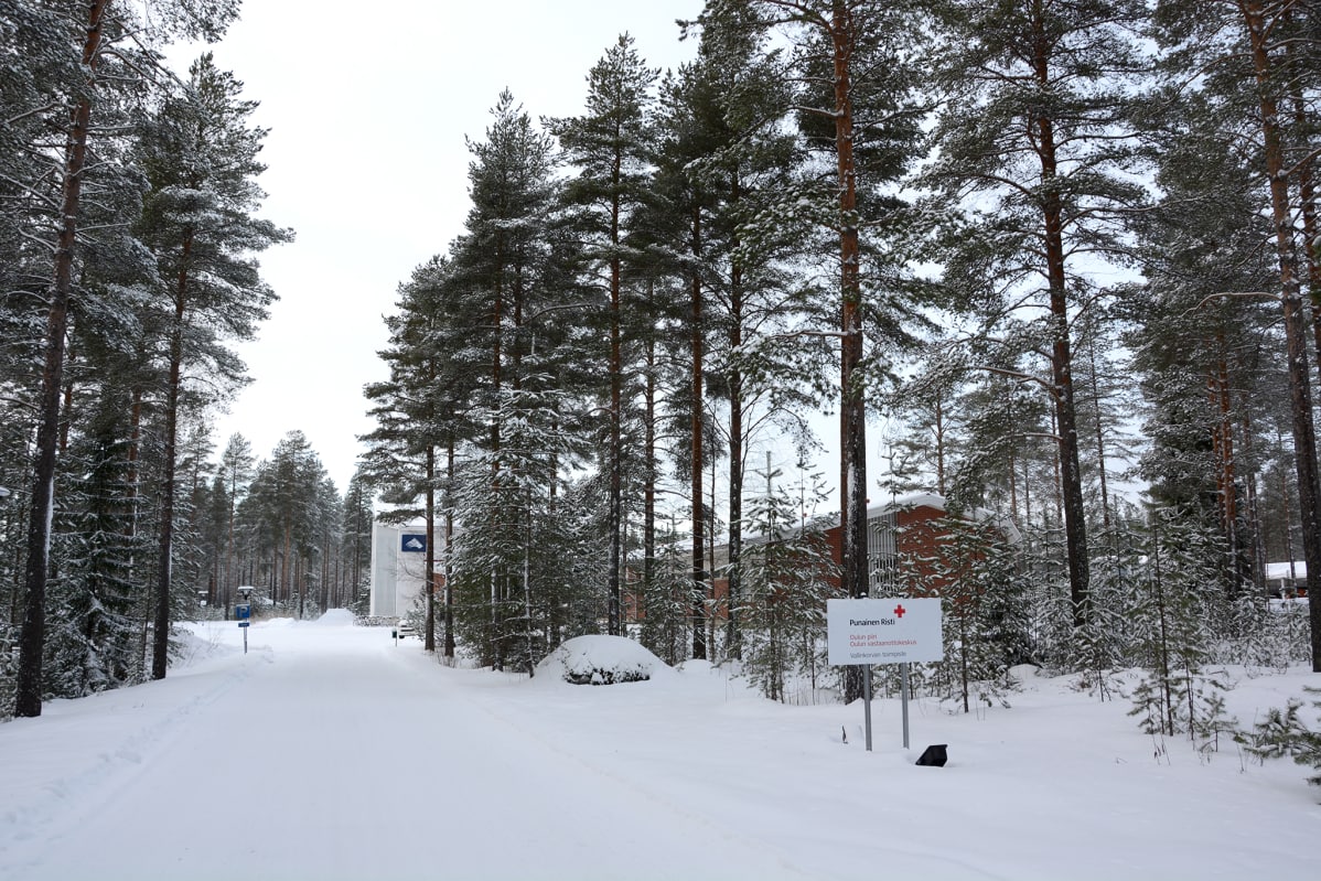 Oulun Vallinkorvan koulurakennus mäntypuiden takana talvella.
