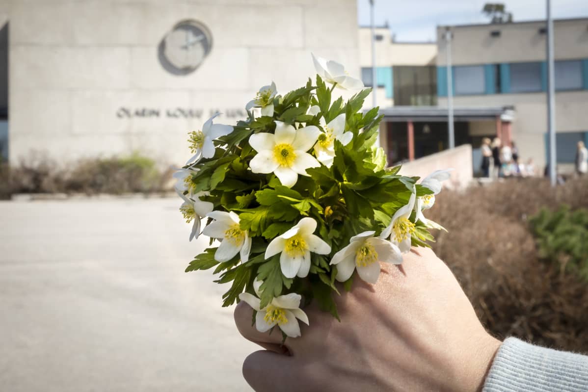 Valkovuokot. Teinit ja äidit