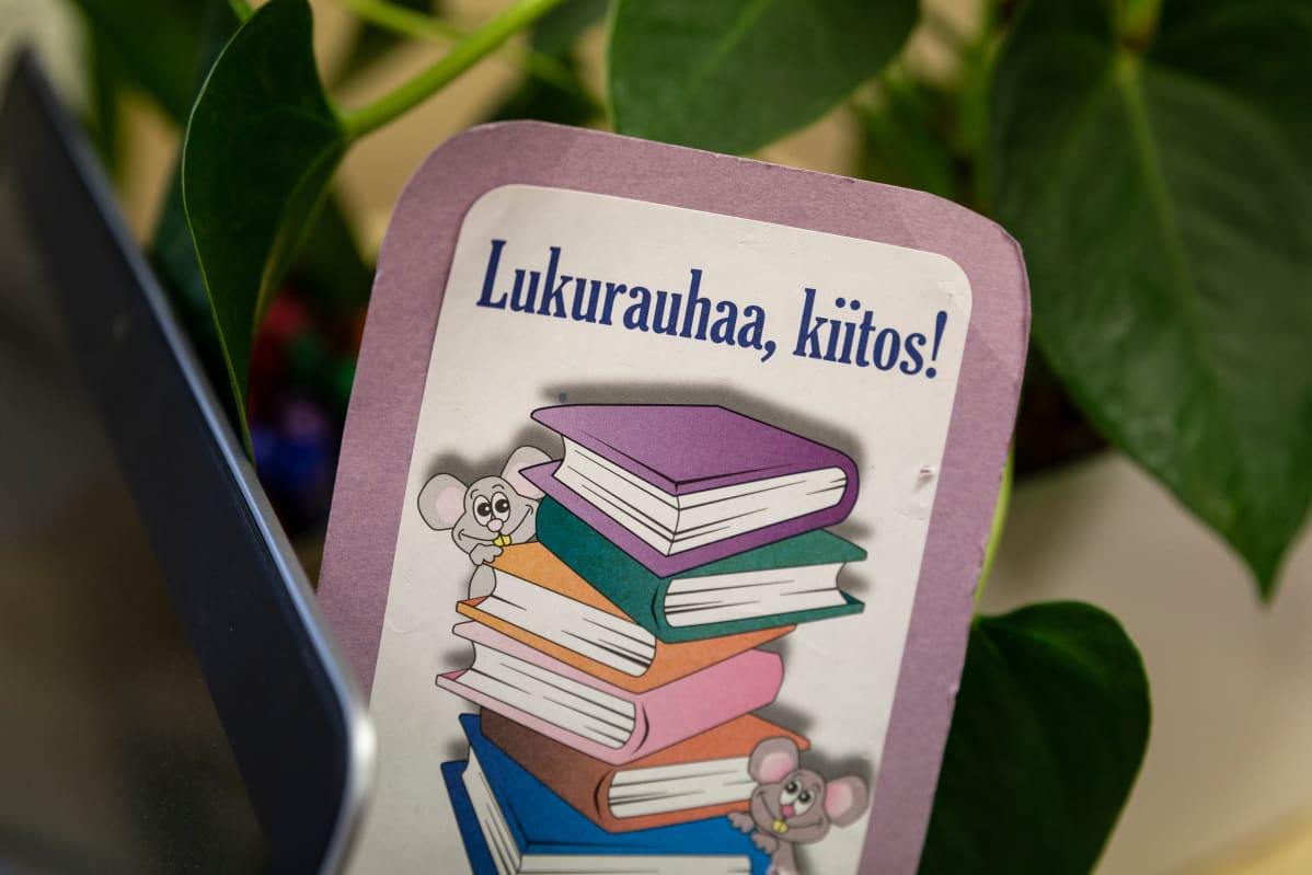 Erityistuki Eero Mäntymaan juttuun