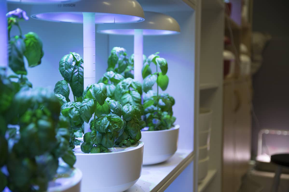 Plantuin älypuutarhat