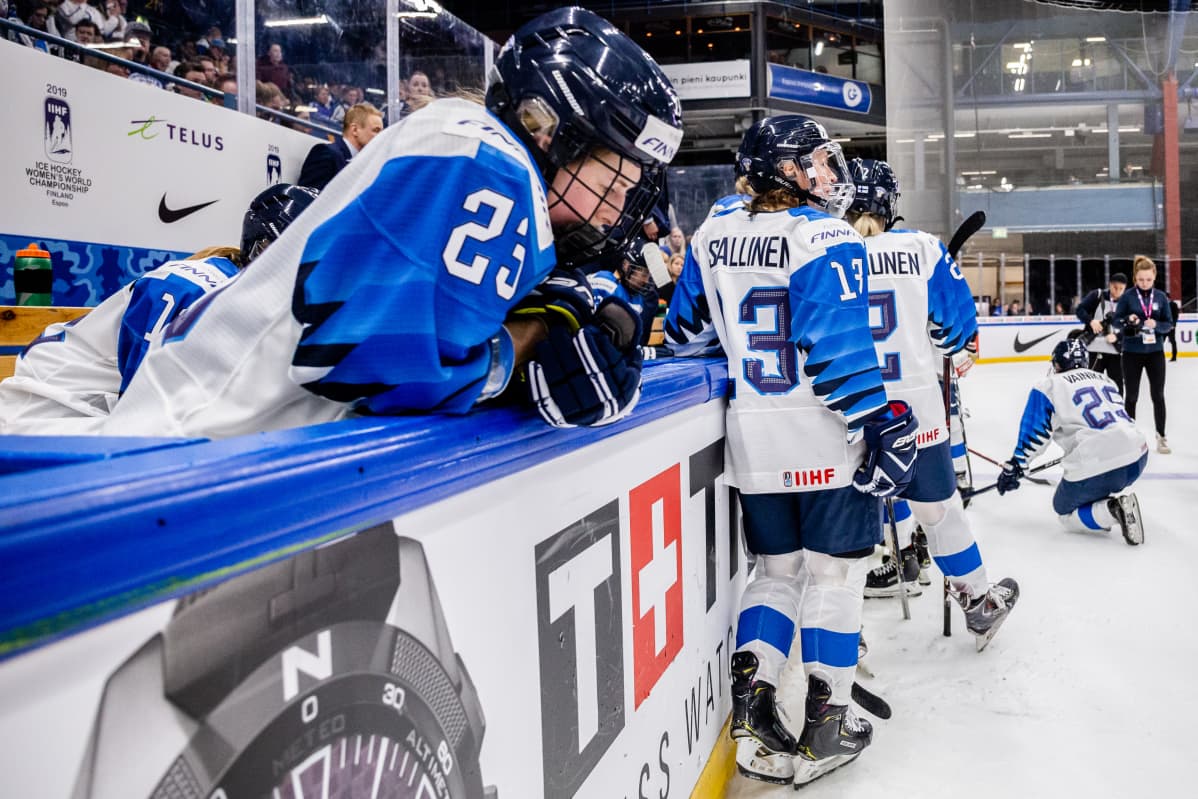 Pettyneet Leijonat