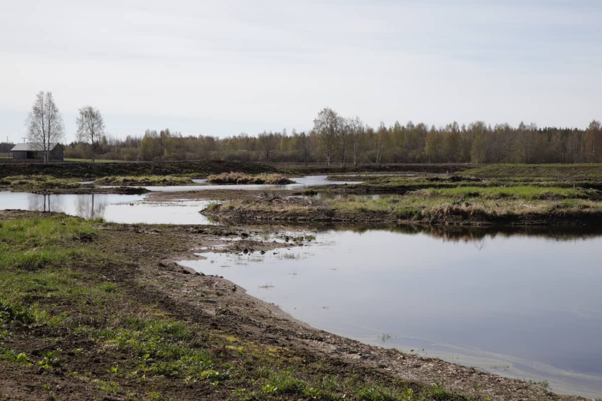 Pahajoen kosteikko on nyt valmis Alavudenjärven rinnalla. Alueelle suositellaan rakennettavan näitä vielä kymmeniä lisää.