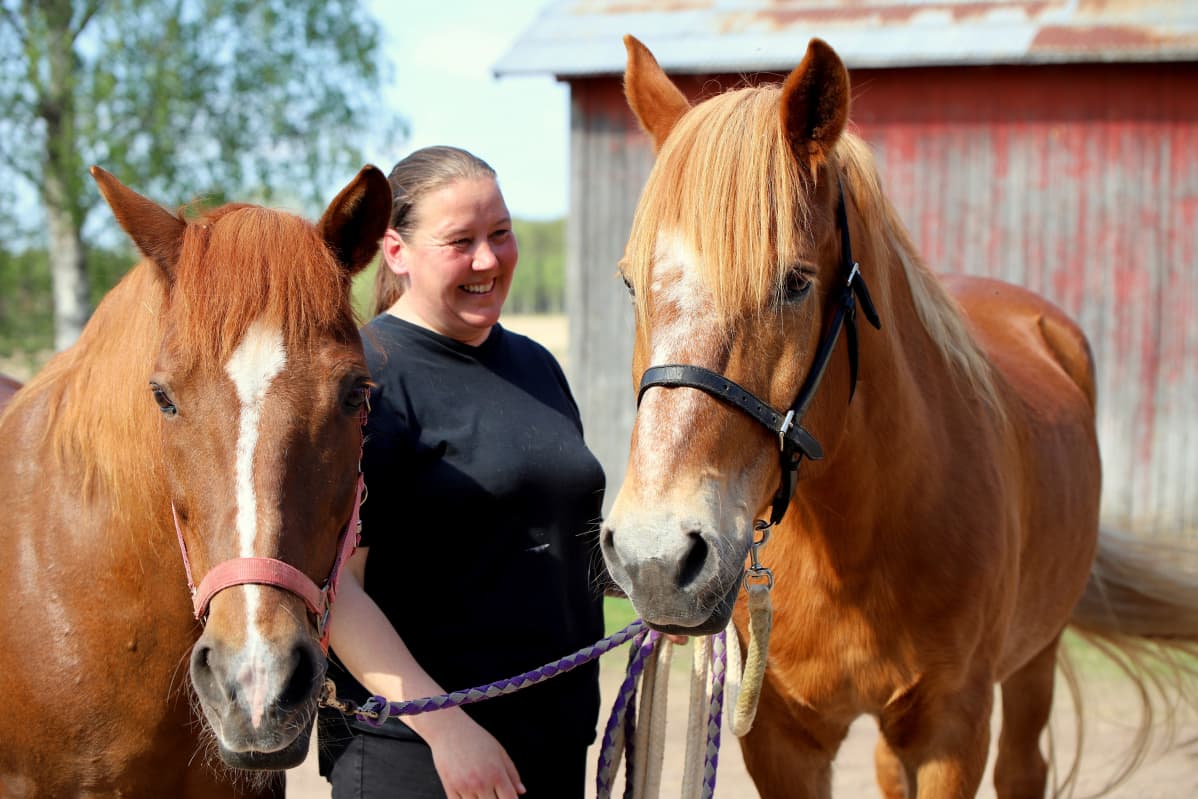 Niinisalon Ratsastajien tallimestari Suvi Kleemola kahden suomenhevosen kanssa pihalla.