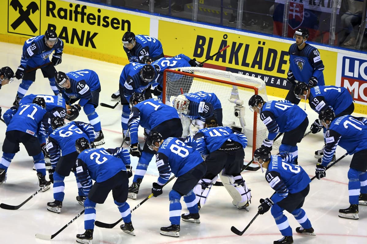 Leijonat