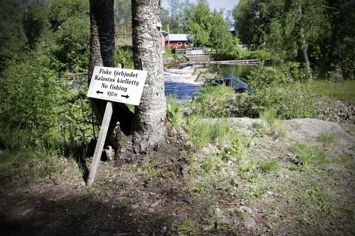 Padon ympärillä on alueita joilla ei saa kalastaa.