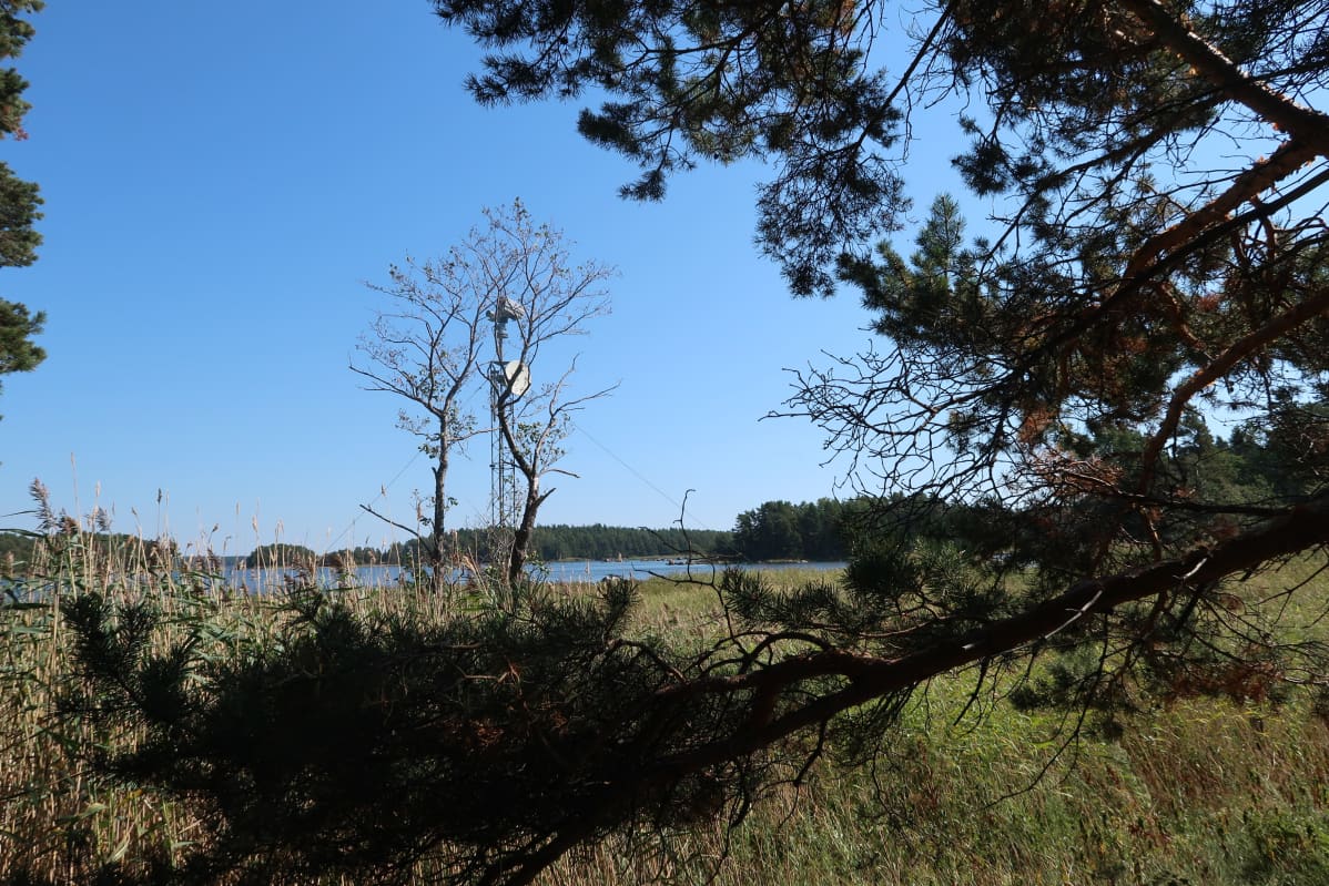 valvontakamera
