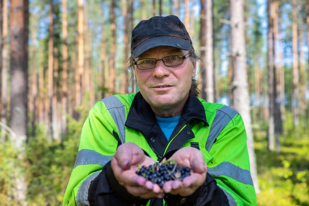 Mustikoita pidetään kädessä samalla kun katsotaan kameraan.