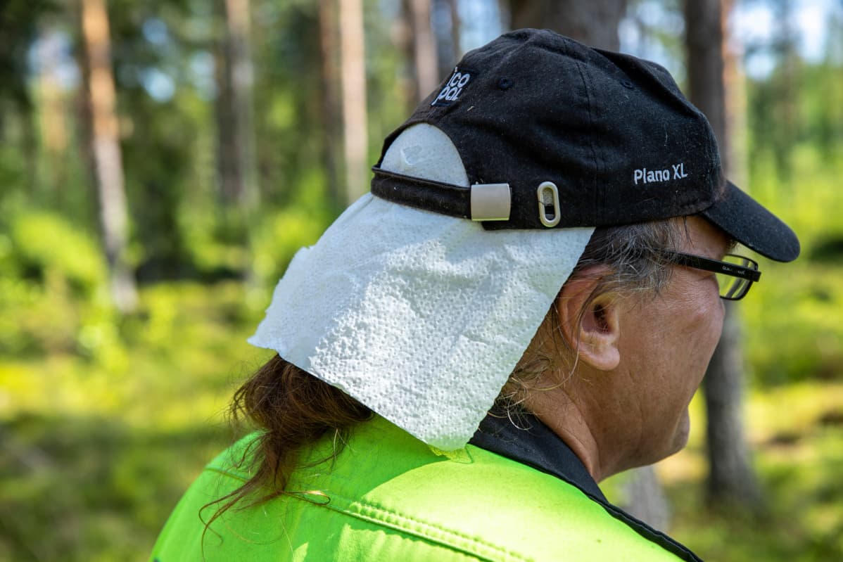 Jerosen hyönteiskarkotin kuvattuna lippiksessä.
