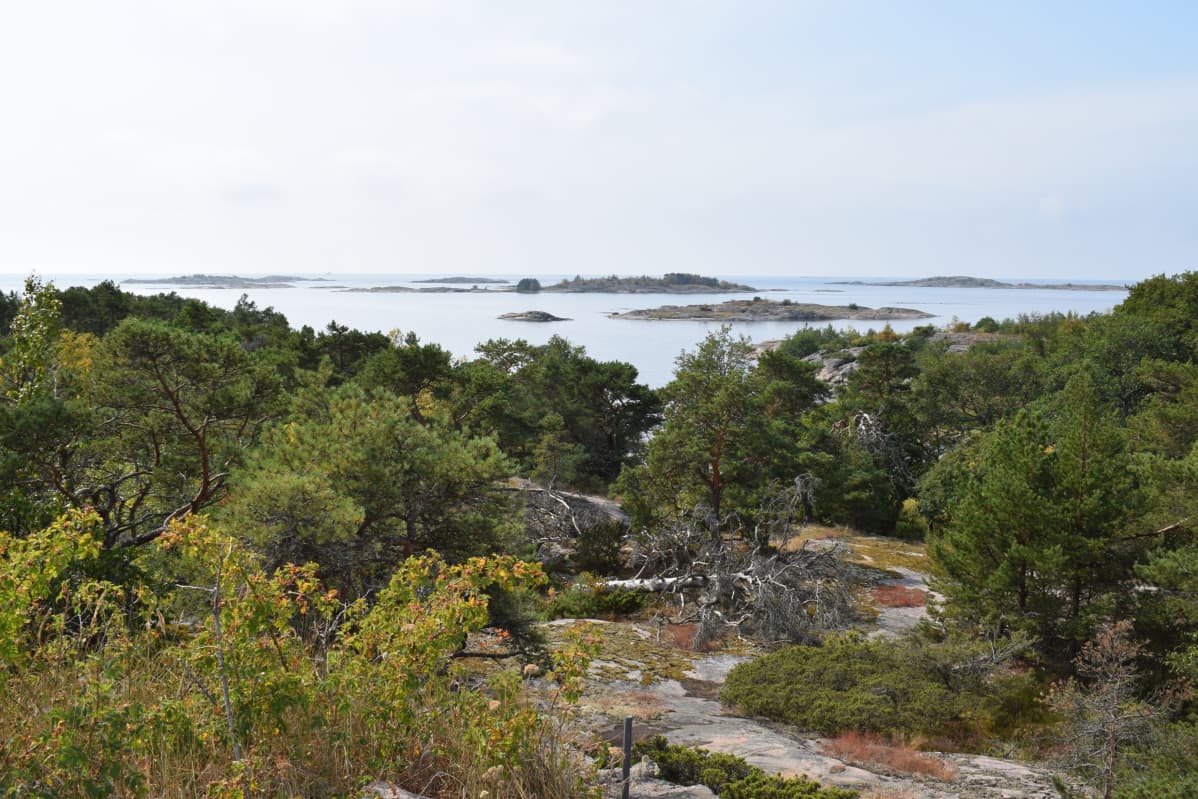 Örön kallioilta näkee hyvällä säällä Bengtskärin majakalle saakka.