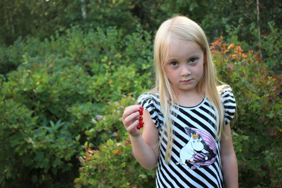 Ella Pesonen viinimarjaterttu kädessään