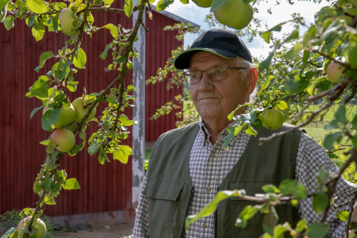 Timo Kortteinen