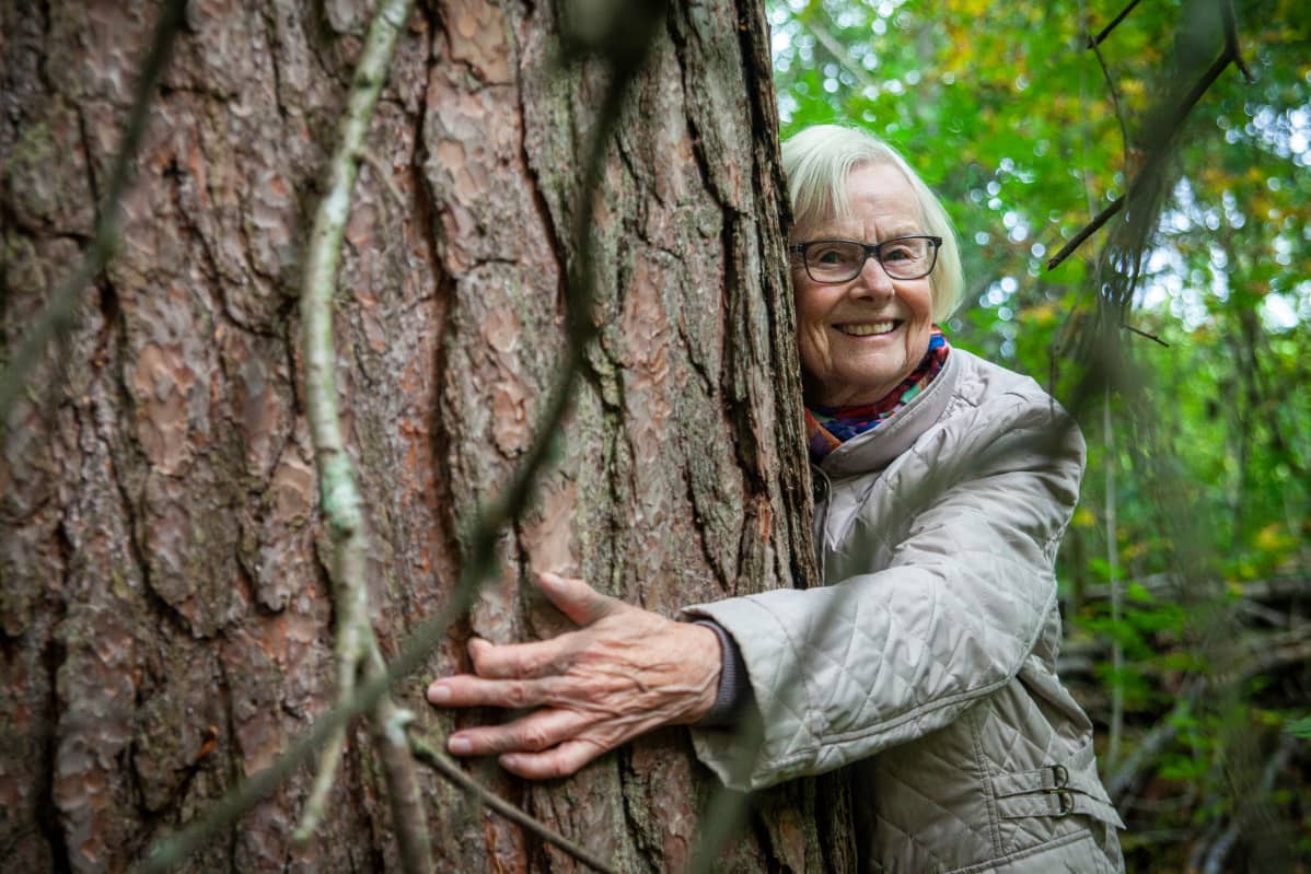 Liisa Niskanen halaa suurta mäntyä metsässä.