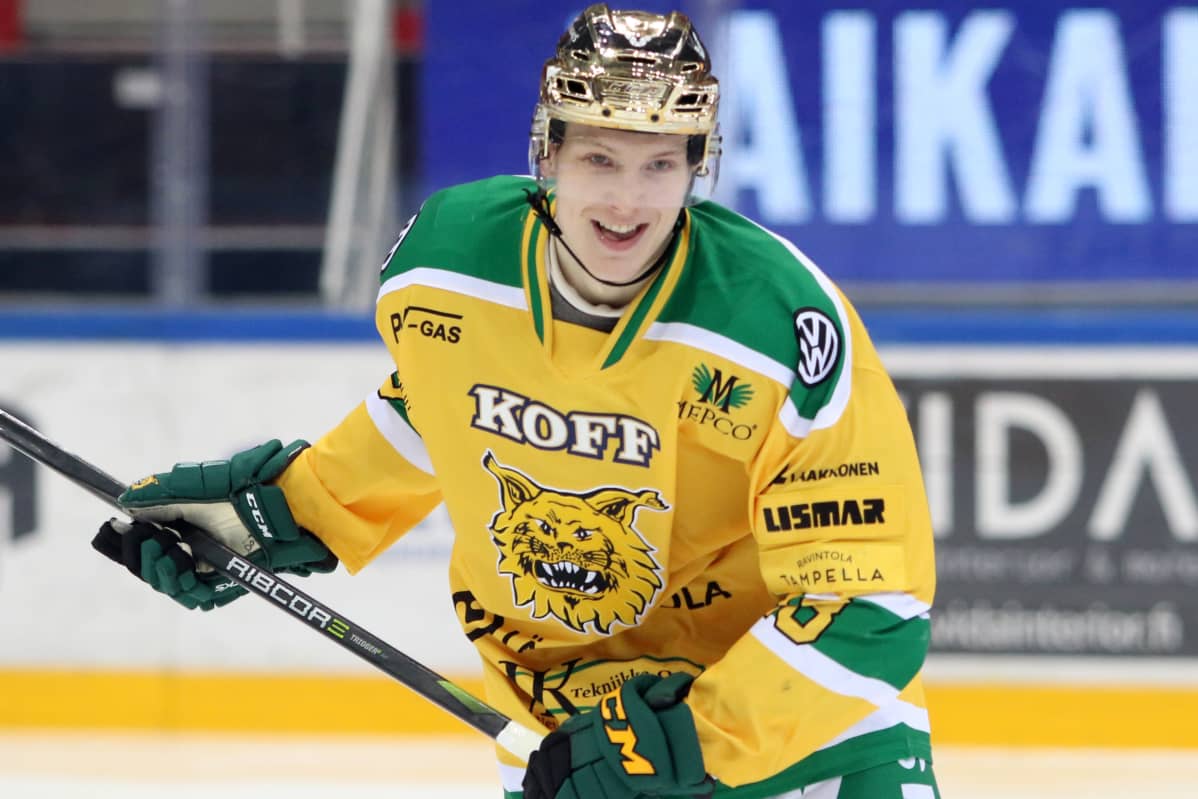 Ville Meskanen, Ilves