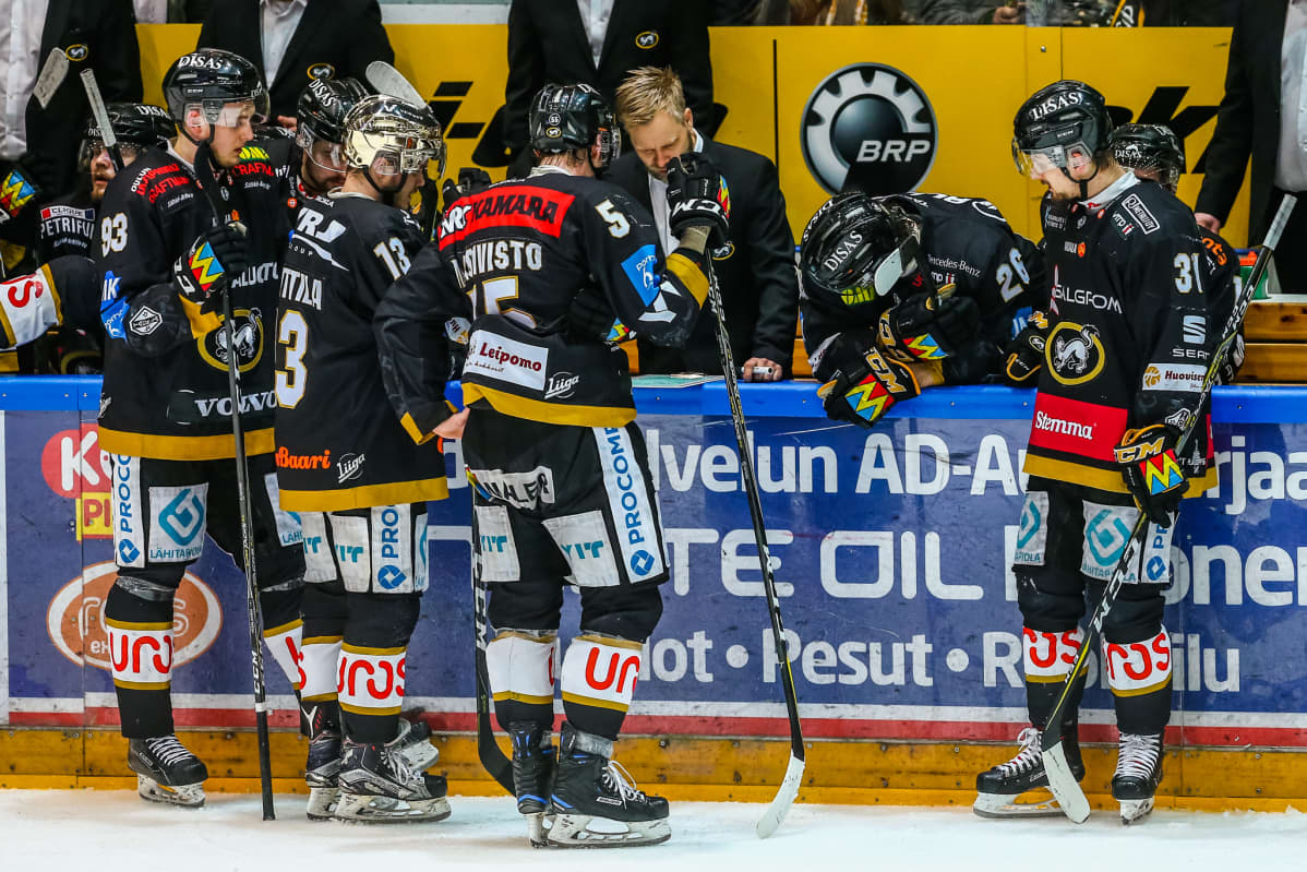 Kärpät
