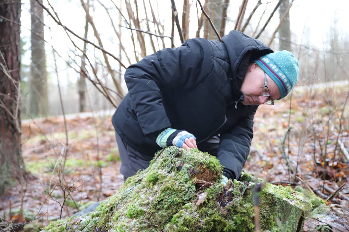 Metsähallituksen suunnittelija Teijo Heinänen